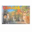 CDA Magnet>2"x3" 4 Deers