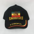Cap>Ethiopia Lion