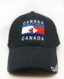 CDA Cap>2 Tone Leaf
