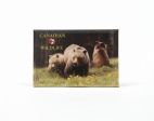 CDA Magnet>2"x3" 3 Bears