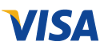 Visa Card Logo