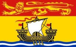 2'x3'>New Brunswick