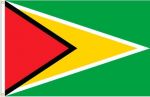 3'x5'>Guyana