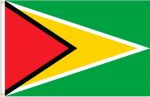 3'x5'>Guyana