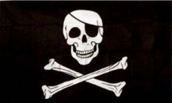 3'x5'>Pirate Patch