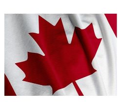 CDA Flag 3'x6'>Poly Knitted