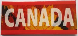 CDA Magnet>Canada Falls Col.12x5.5cm