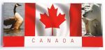 CDA Magnet>Canada Goose/Bear 12x5.5cm