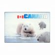 CDA Magnet>3 Polar Bear