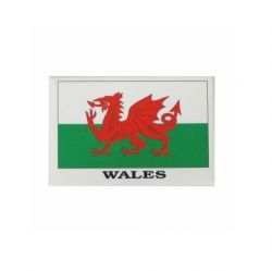 Fridge Magnet>Wales