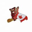 CDA Pin>Beaver Wavy Flag