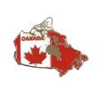 CDA Pin>Flag In Map Shape