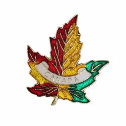 CDA Pin>Multi-Coloured Leaf Lg