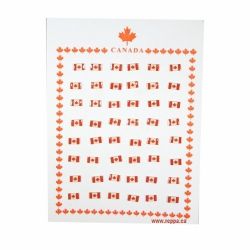 CDA Pin Card> Basic Flag Sm