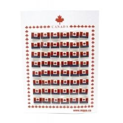 CDA Pin Card> Basic Caption