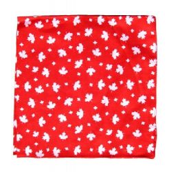 CDA Bandana>White leaf on Red