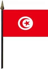 12"x18" Flag>Tunisia