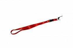 Lanyard>Ferrari