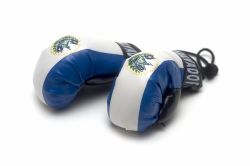 Boxing Gloves>El Salvador