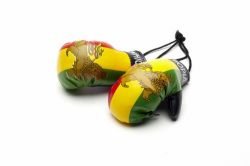 Boxing Gloves>Ethiopia Lion