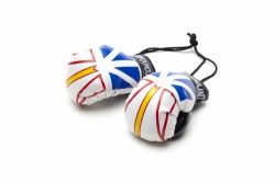 Boxing Gloves>Newfoundland