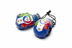 Boxing Gloves>Italy Club