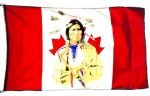 3'x5' Flag>Native Indian