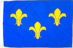3'x5'>Fleur De Lis
