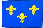 3'x5'>Fleur De Lis