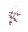 Charm Keychain>Chile