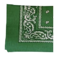 Bandana>Paisley Green