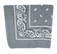 Bandana>Paisley Grey