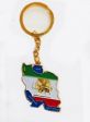 Enamel Keychain>Iran Lion Gold