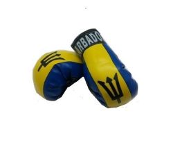 Boxing Gloves>Barbados