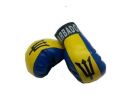Boxing Gloves>Barbados