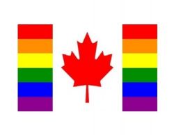 CDA 2'x3'>Rainbow Pride with ML