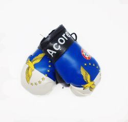 Boxing Gloves>Azores