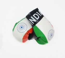 Boxing Gloves>India