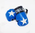 Boxing Gloves>Somalia
