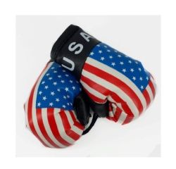 Boxing Gloves>USA