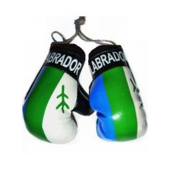 Boxing Gloves>Labrador