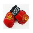 Boxing Gloves>Manchester