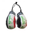 Boxing Gloves>Iraq
