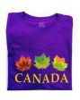 CDA T-Shirt>3 Fall Col. Leaf