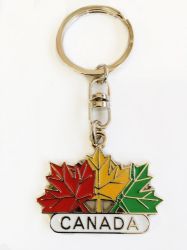 CDA Keychain>M Leaf Fall Color