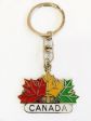 CDA Keychain>M Leaf Fall Color