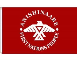 3'x5' Flag>Anishinaabe