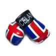 Boxing Gloves>Iceland
