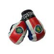 Boxing gloves>Costa Rica