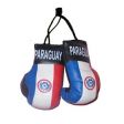 Boxing Gloves>Paraguay
